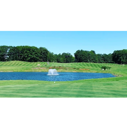 Spring Swing - Beverage Cart Sponsorship
