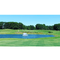 Spring Swing - Golf Cart Sponsorship