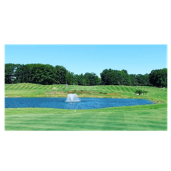 Spring Swing - Golf Ball Sponsorship