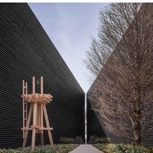 Looking, After the Fires