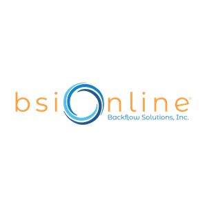Photo of BSI Online