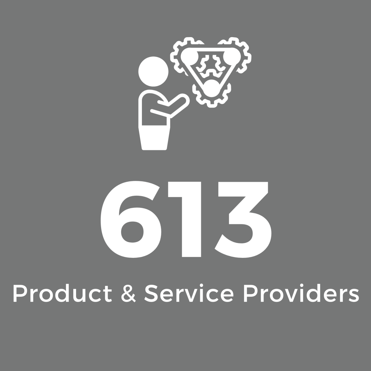 Grey Square with White Text: 613 Product & Service Providers