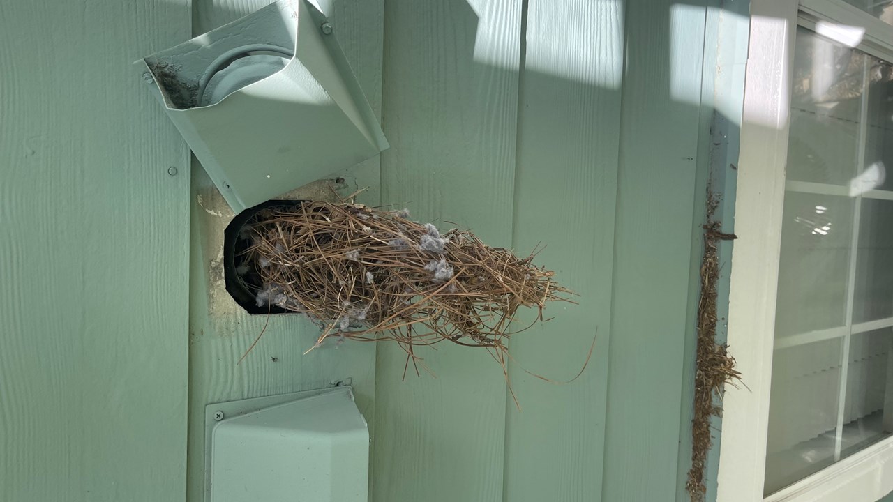 Debris removal