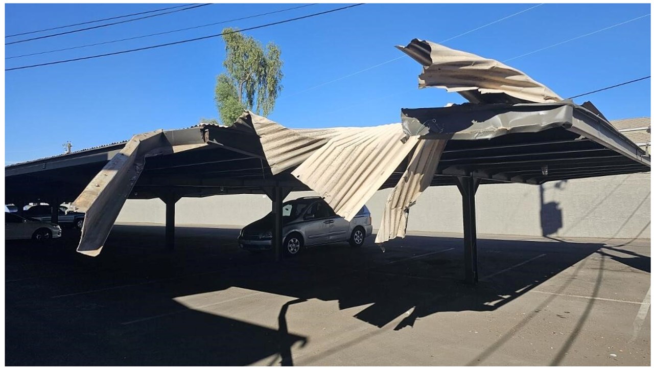 Trim & Deck Repair/Replacement. Maintain carport look & integrity, and protect vehicles on property.