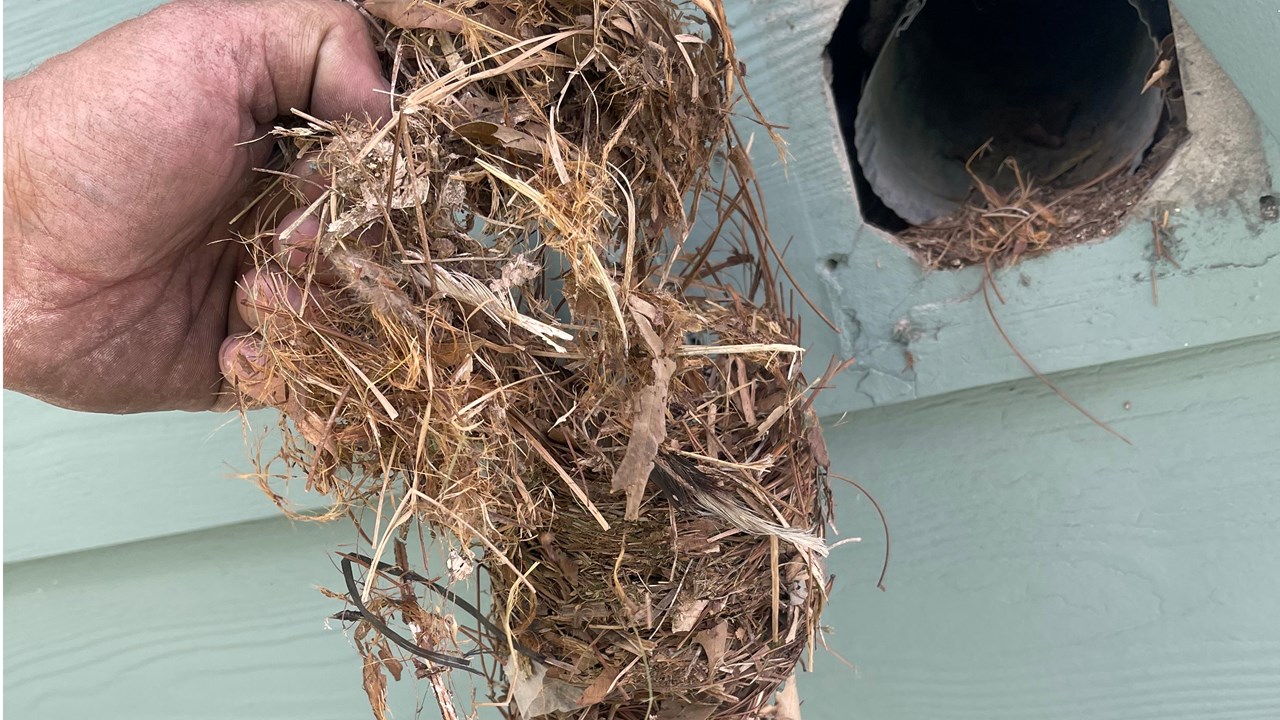 Debris removal