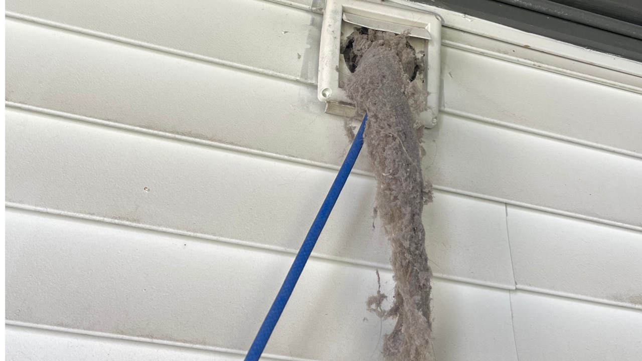 Lint removal