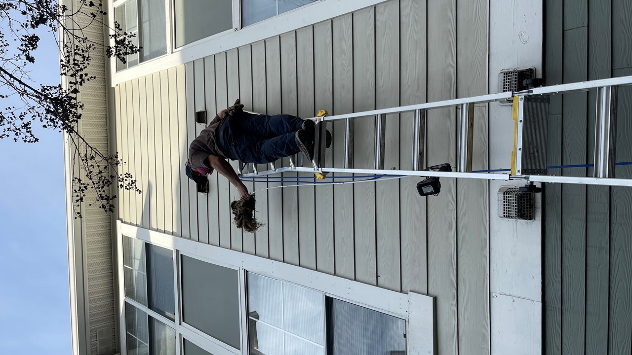 Debris removal