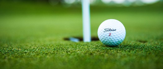 2023 Phoenix AMAPAC/BGF Golfer Auction