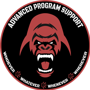 Photo of Leonardo DRS Advanced Program Support - Team 1