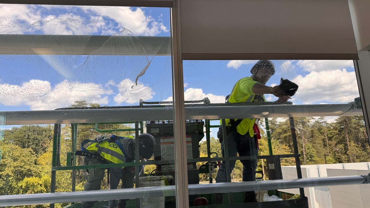 Window Cleaning 
