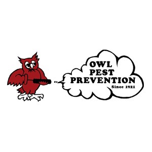 Photo of Owl Pest Prevention