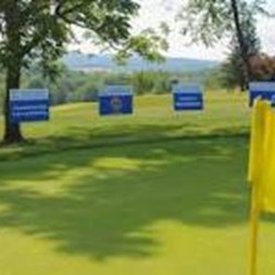 DFWAPPA Golf Tournament - Table Sponsor