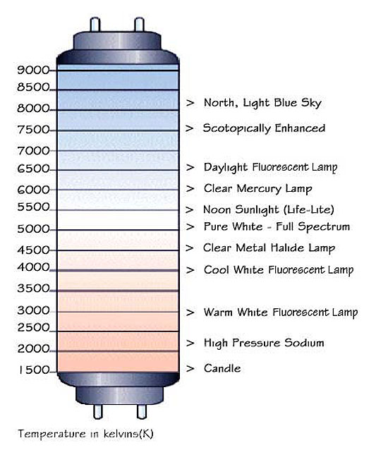 Light Temperature