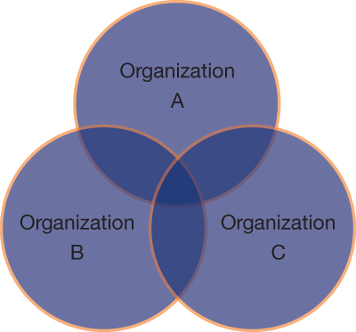 Organizational Differences