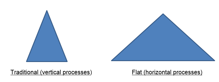 Trends in Organizational Shape