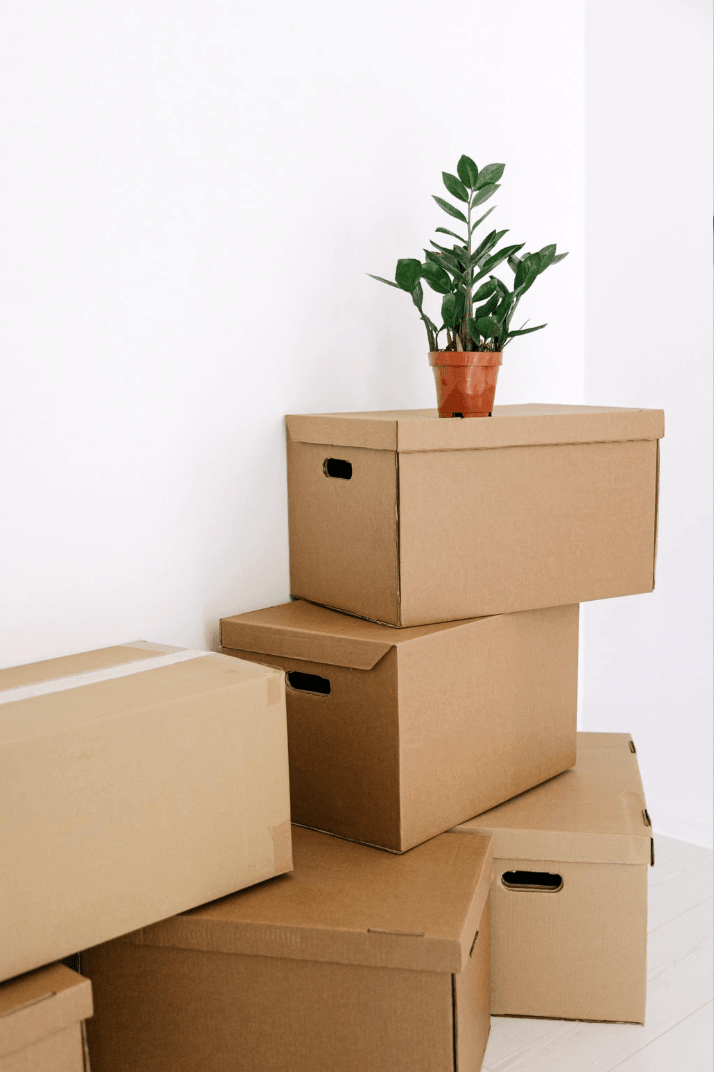 Moving boxes stacked in an apartment during a student lease transition in Gainesville