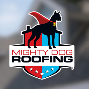 Photo of Robin Walsh