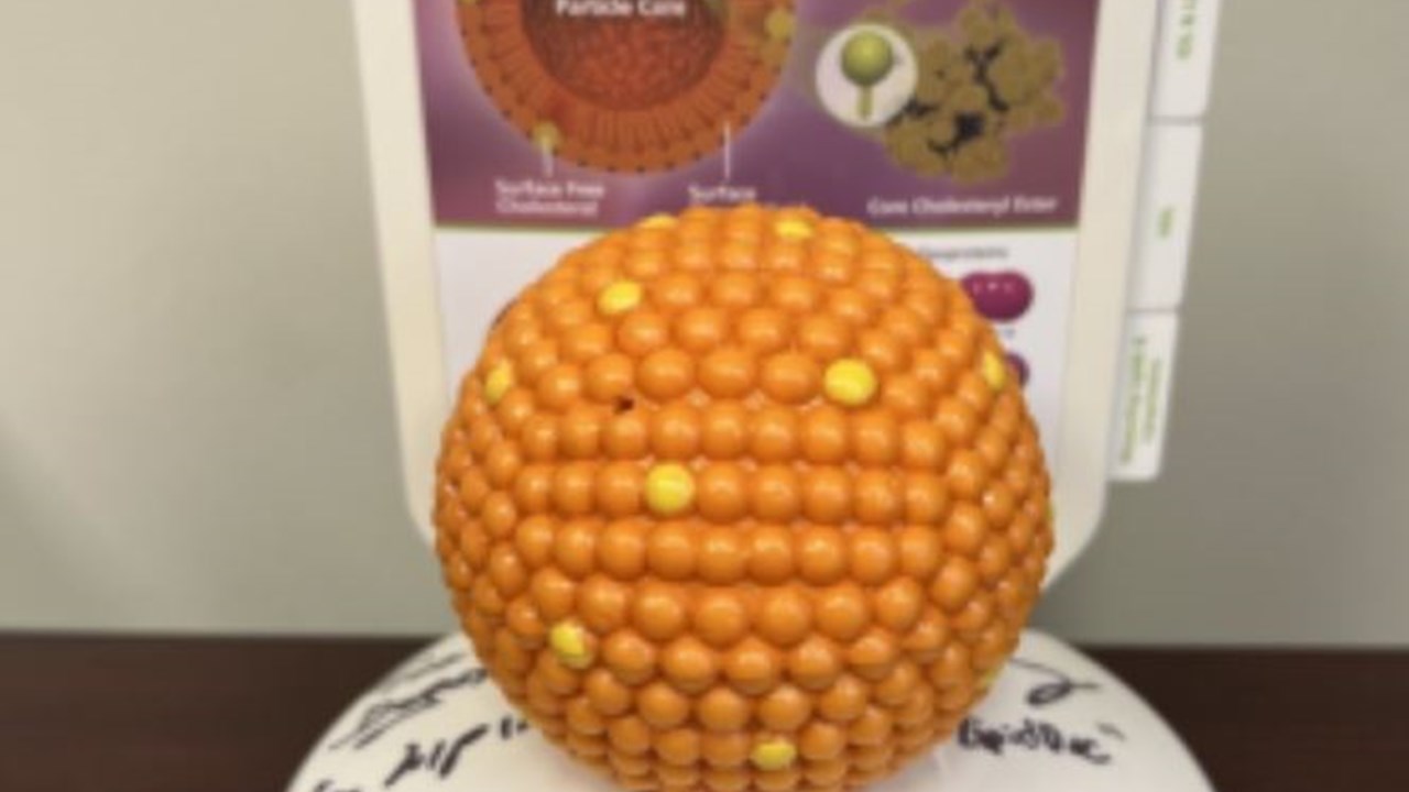 Underberg / Dayspring Lipoprotein model
