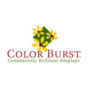 Photo of Color Burst