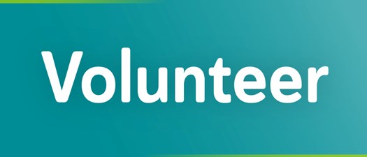 Volunteer Day at SAFE 