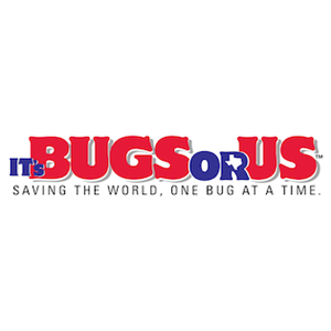 Photo of Its Bugs Or Us