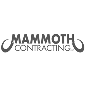 Photo of Mammoth Contracting LLC