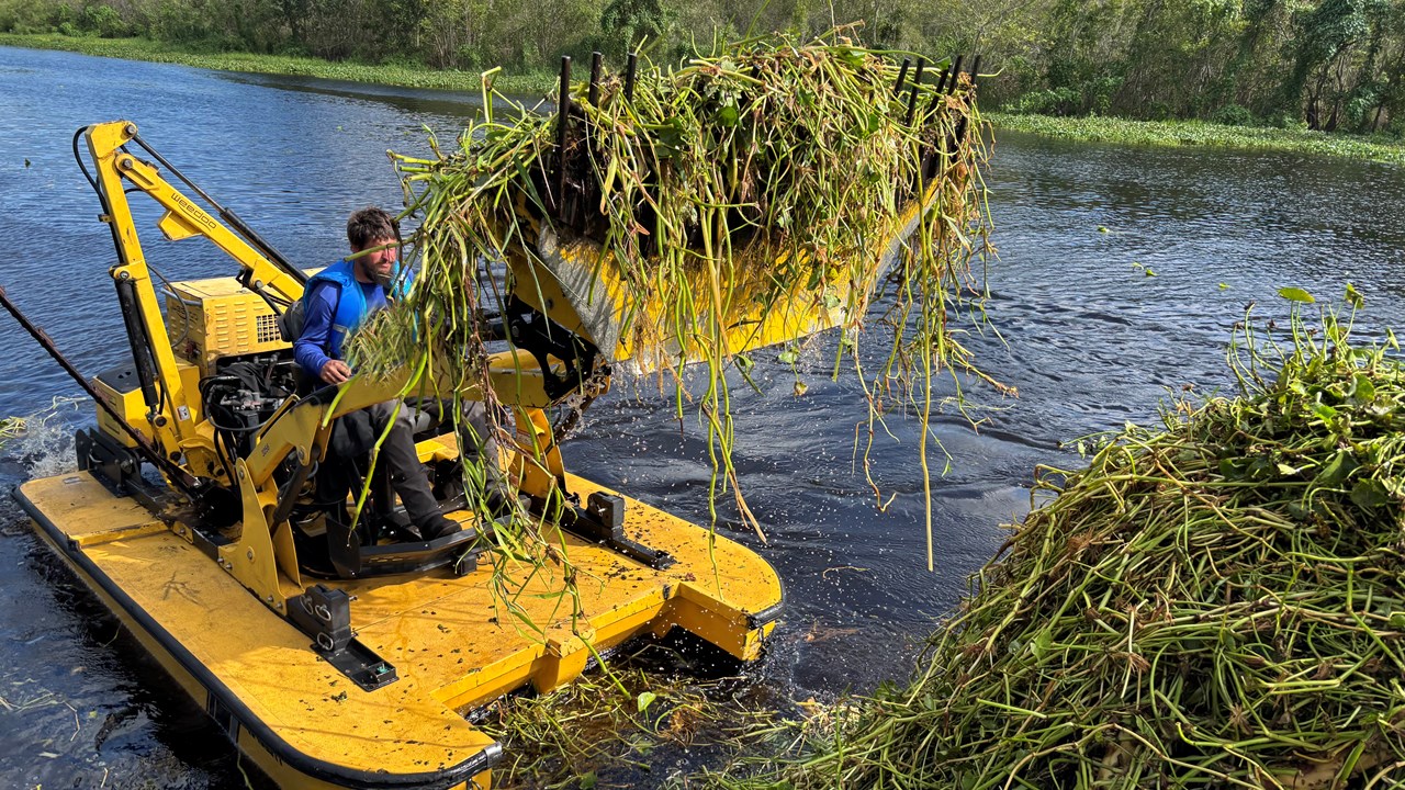 Lake vegetation removal