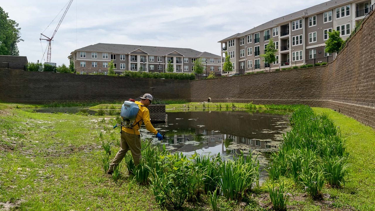 Apartment retention pond maintenance