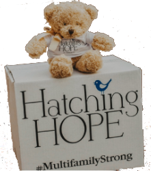 Buy a Box of Hope for Hatching Hope