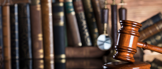 Landlord-Tenant: Practical Solutions for Property Managers