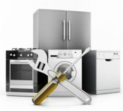 Appliance Troubleshooting & Repair - SUMMER2