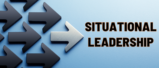 Situational Leadership: How Adaptive Are You?