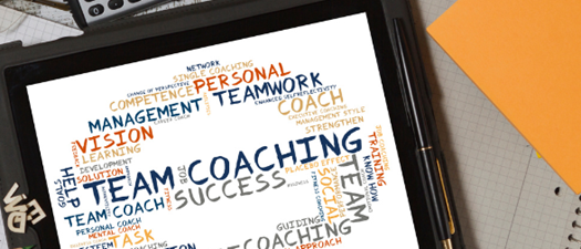 Coaching for Peak Performance!  