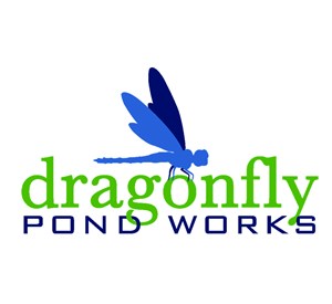 Photo of Dragonfly Pond Works