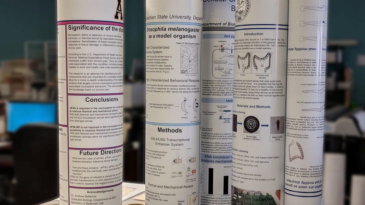 Posters for App State Projects are common projects!