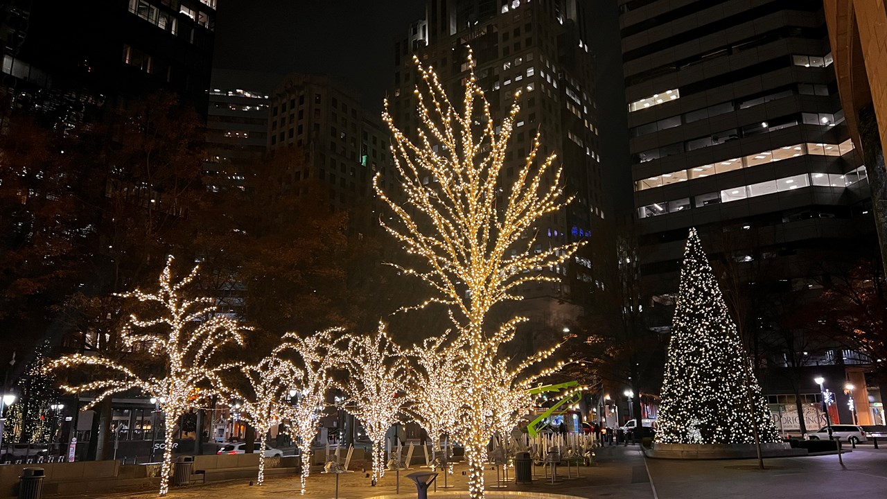 charlotteELF N. Tryon & Trade Street Charlotte North Carolina 