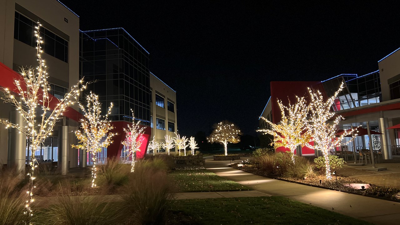 charlotteELF Corporate Headquarters Holiday Lighting 