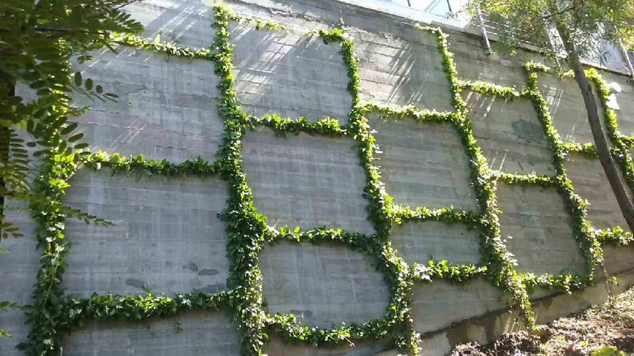 Upper Mesa - Pacific Palisades