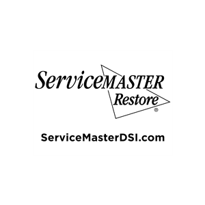 ServiceMaster DSI