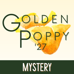 2027 Adult Mystery Category