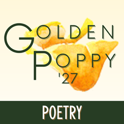 2027 Adult Poetry Category