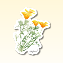 Golden Poppy Sticker