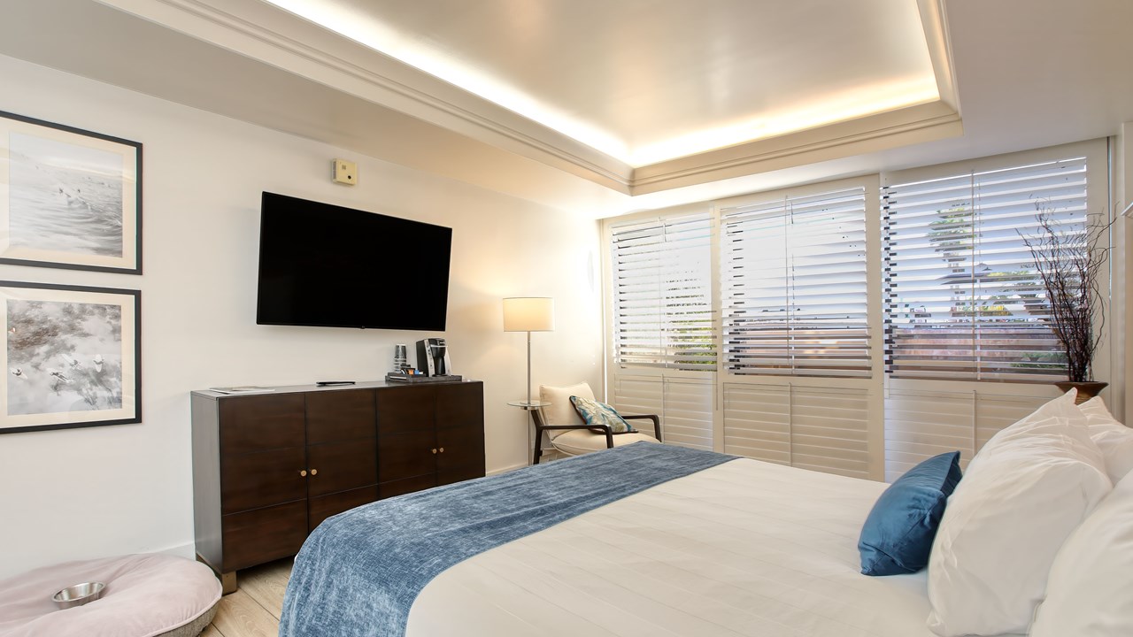 Dog Friendly Room