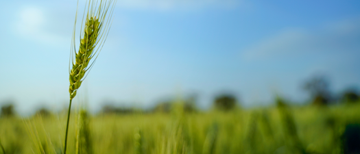 Midwest Community Banking AG Conference