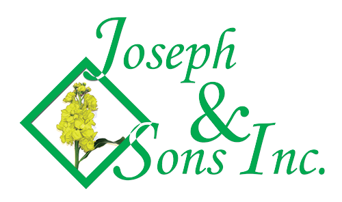 Joseph & Sons