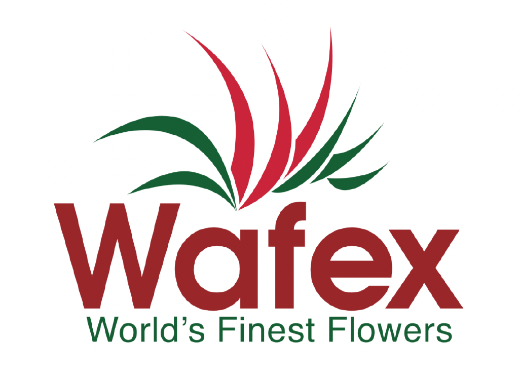 Wafex USA