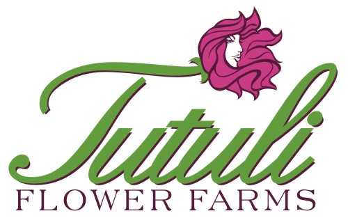 Tutuli Flower Farm