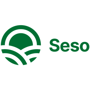 Seso Labor