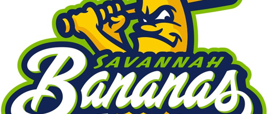 Family Night with the Savannah Bananas