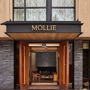 Photo of MOLLIE Aspen